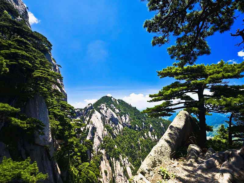（品質(zhì)游）黃山、水墨宏村、西遞、屯溪老街雙飛5天團 