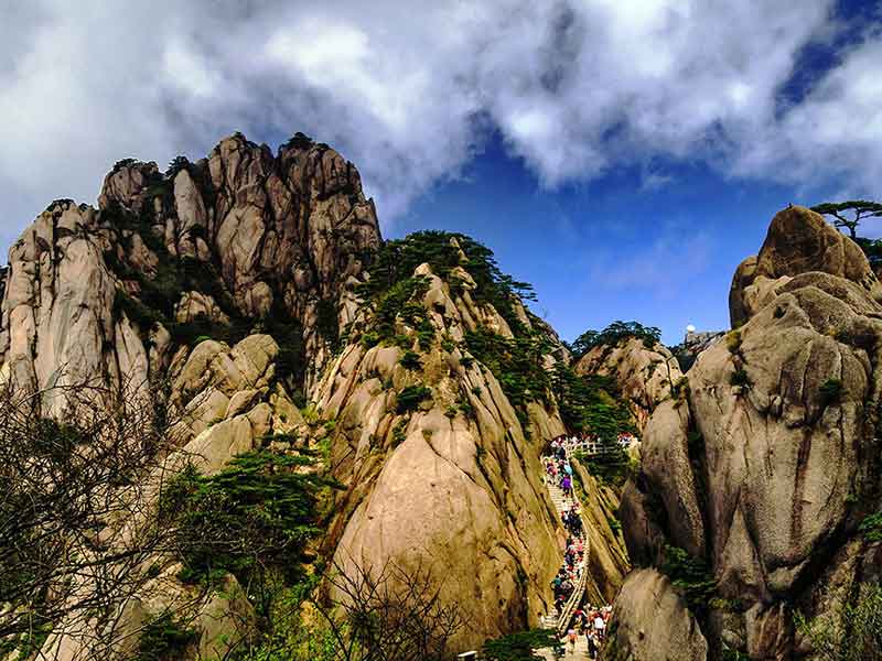（純玩）黃山、水墨宏村、梓路寺、新安江濱水旅游區(qū)、屯溪老街雙飛4天團