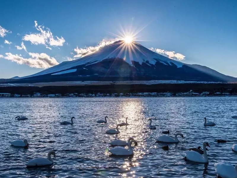 深圳直飛 特惠 日本本州6天5晚游 京阪名三都、兩大名城、平和公園、江之島電車、游湘南海岸