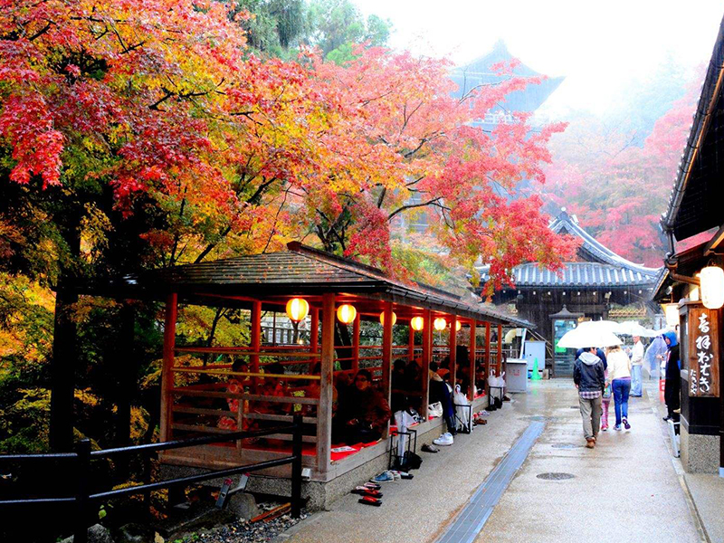 日本特惠6天5晚游 1晚日式溫泉酒店 神戶有馬溫泉街、奈良神鹿公園、和服游京都、茶道體驗、東京經(jīng)典之旅